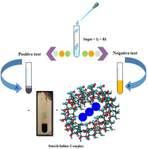 iodine test for glycogen|(PDF) Starch and Glycogen Analyses: Methods and .